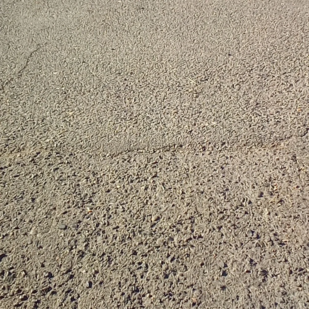E - Picture 1 of 2
